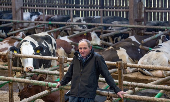 Farmer stood in front of cows